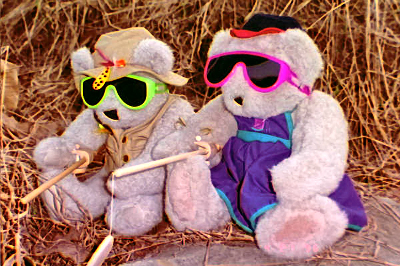 Teddy Bears Fishing