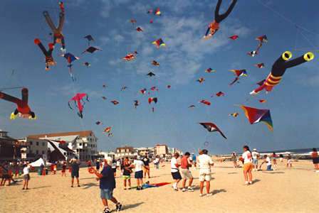 Kite Festival