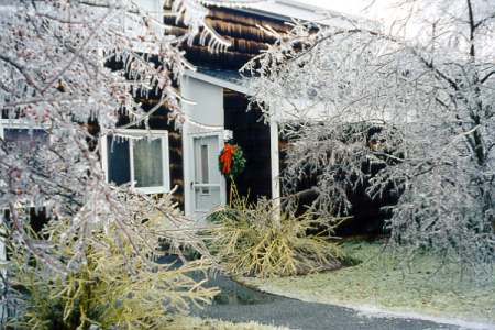 Ice Storm beauty