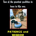 A man's wisdom makes him patient. He will be honored if he forgives someone who sins against him.